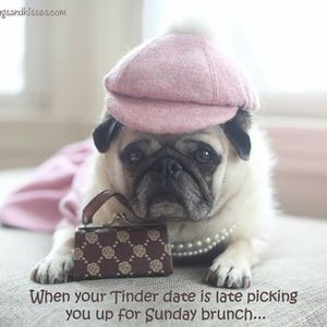 Meet your Posher, Kay